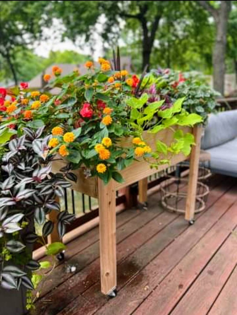 Raised CEDAR Sustainable Garden Bed