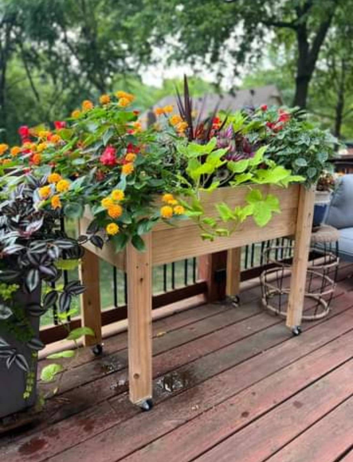 Raised CEDAR Sustainable Garden Bed